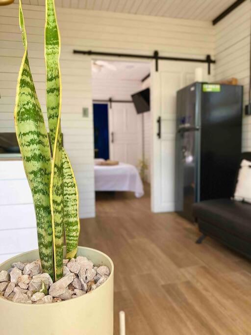 Hoja Azul Loft Guanacaste Apartman Hojancha Kültér fotó